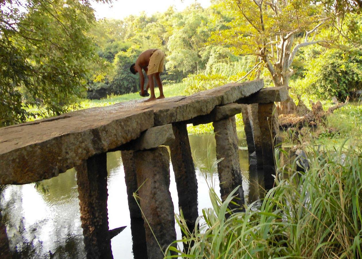 Homestay Camping Anuradhapura Luaran gambar