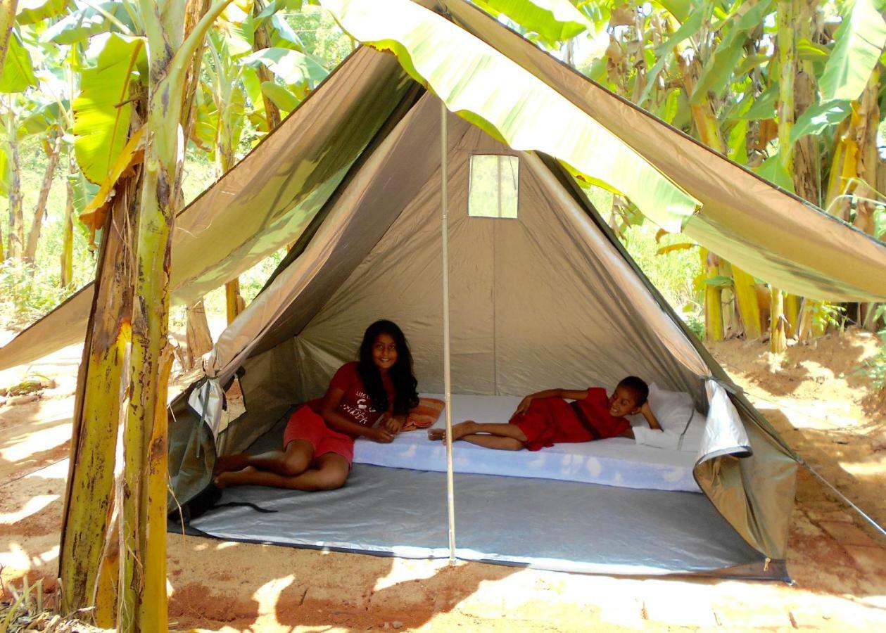 Homestay Camping Anuradhapura Luaran gambar